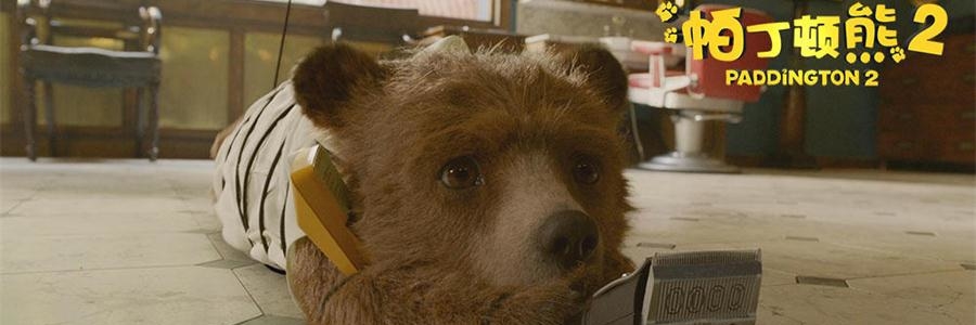帕丁顿熊2电影专题 帕丁顿熊2电影专题