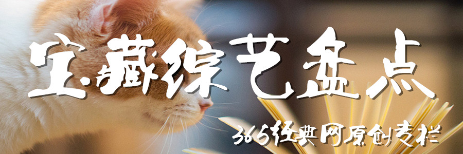 宝藏综艺盘点 宝藏综艺盘点