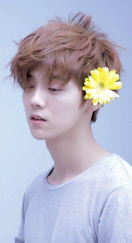 傻狍子鹿晗呆萌耍帅