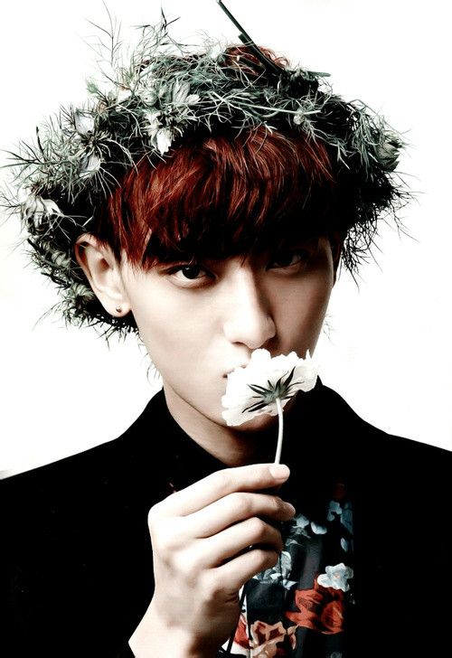 黄子韬耍帅高清图片