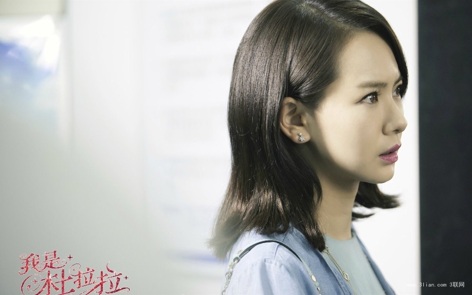 我是杜拉拉剧照