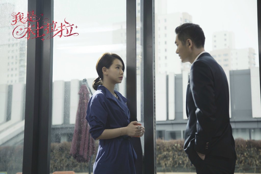 我是杜拉拉剧照