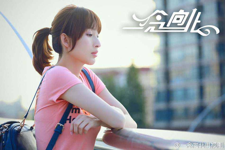 一念向北剧照