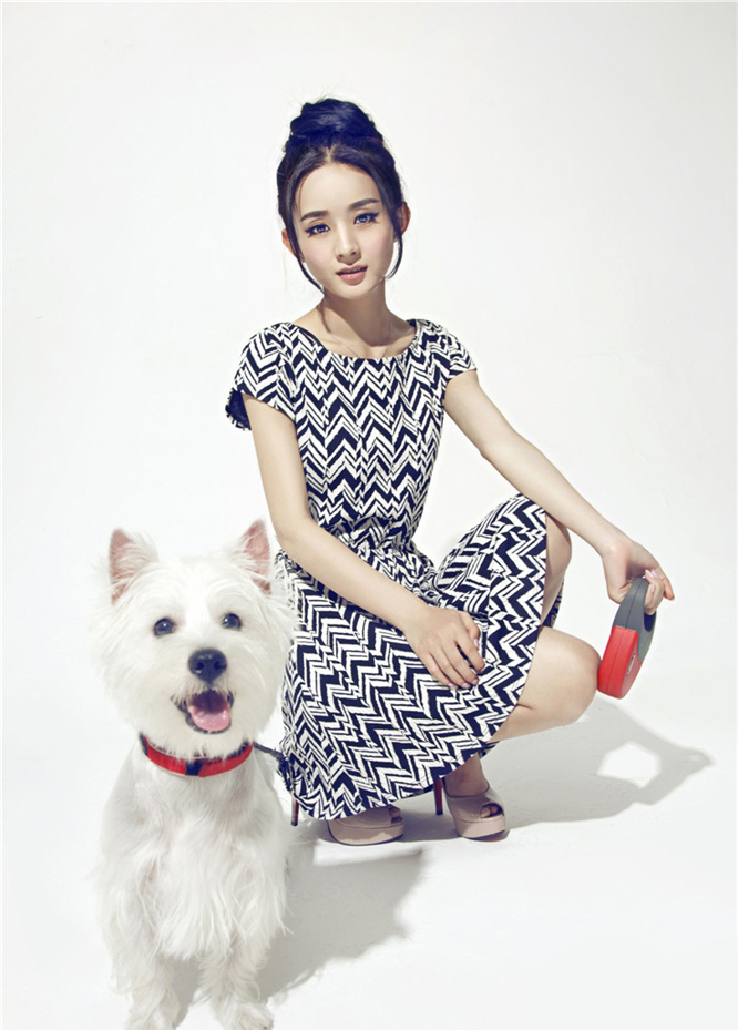 赵丽颖携爱宠拍写真