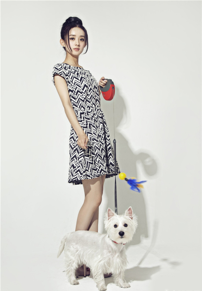 赵丽颖携爱宠拍写真