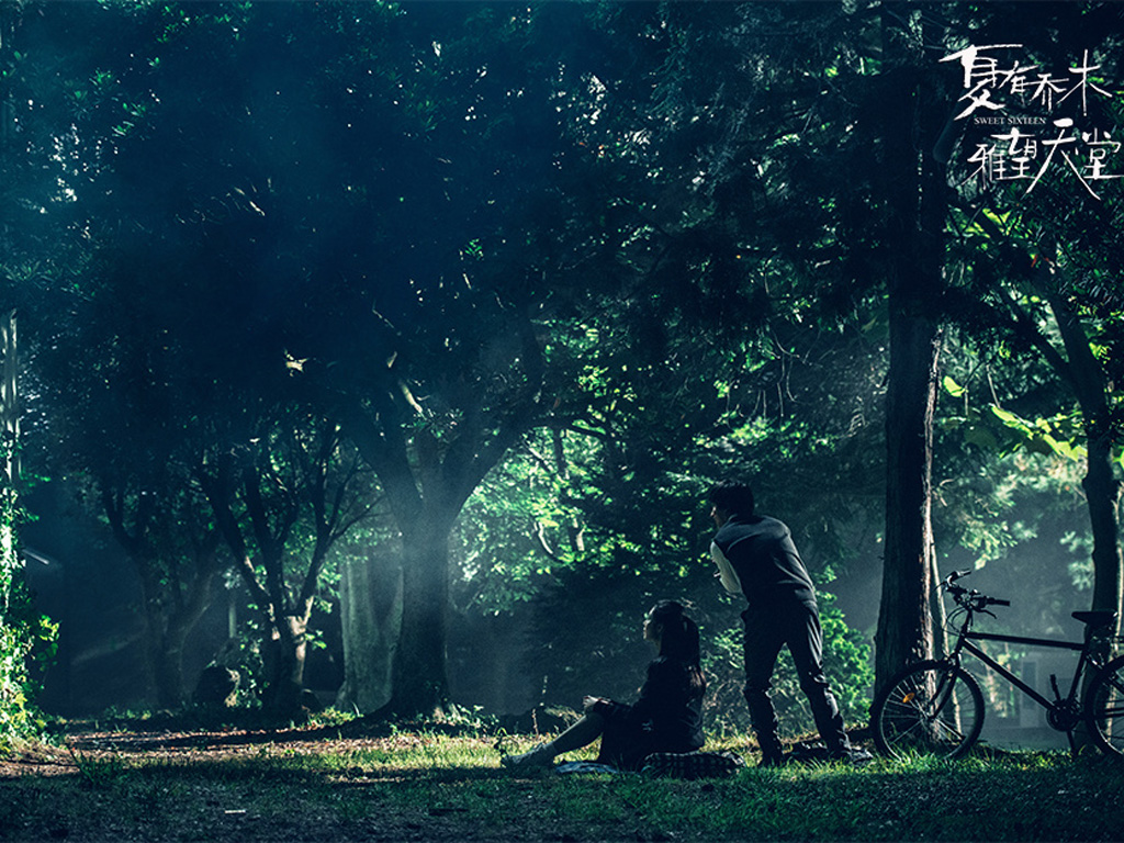 夏有乔木雅望天堂电影海报剧照