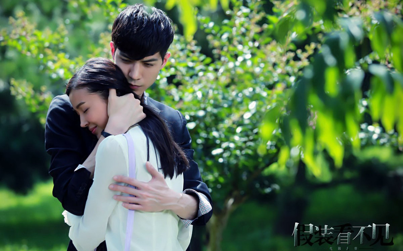 假装看不见预告海报