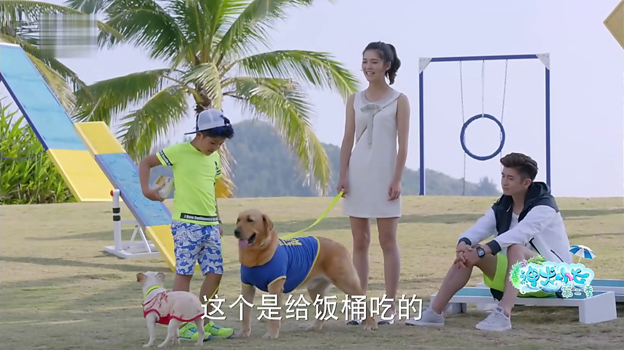 《神犬小七第二季》高清剧照