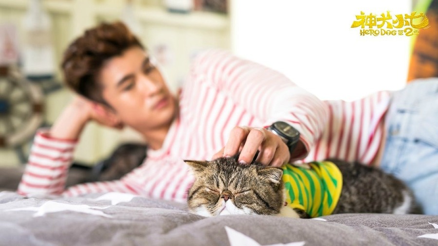 《神犬小七第二季》高清剧照