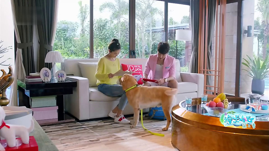 《神犬小七第二季》高清剧照