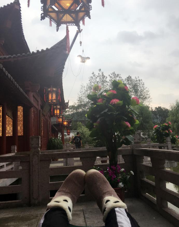 柳岩疯狂晒自拍扮可爱