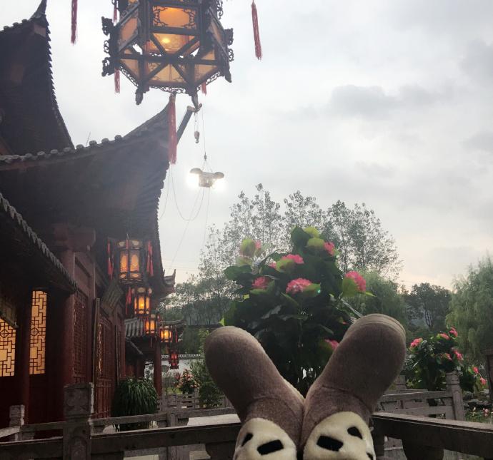 柳岩疯狂晒自拍扮可爱