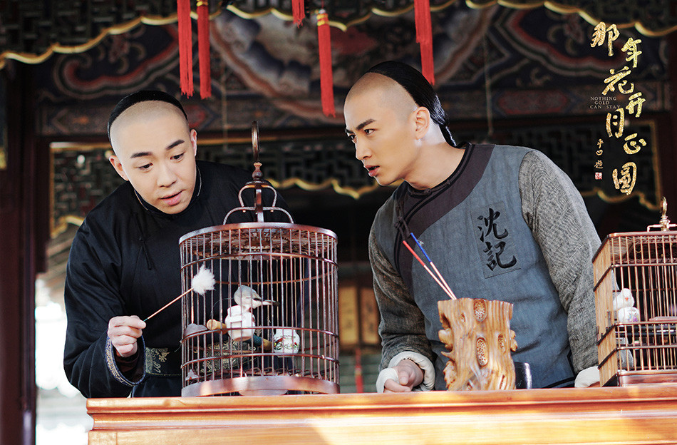 那年花开月正圆高清剧照