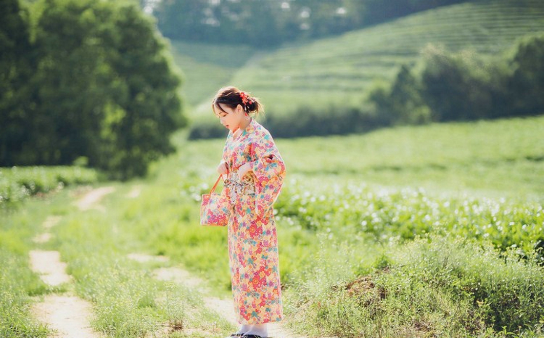 清纯娇嫩阳光茶园芬芳清纯和服美女写真