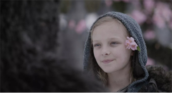 猩球崛起3电影剧照