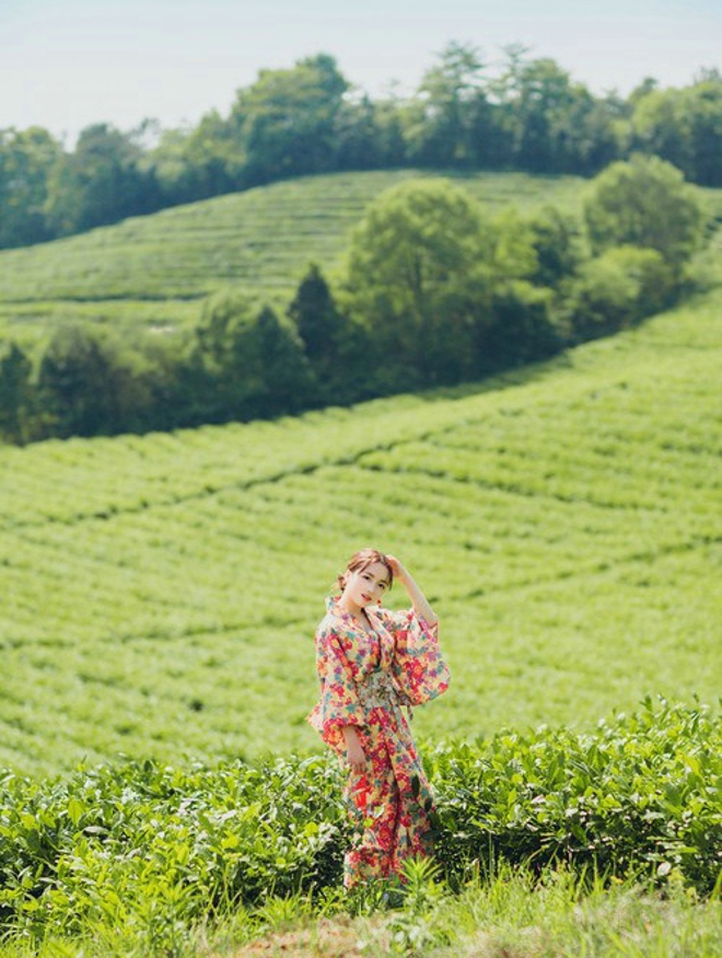 清纯娇嫩阳光茶园芬芳清纯和服美女写真