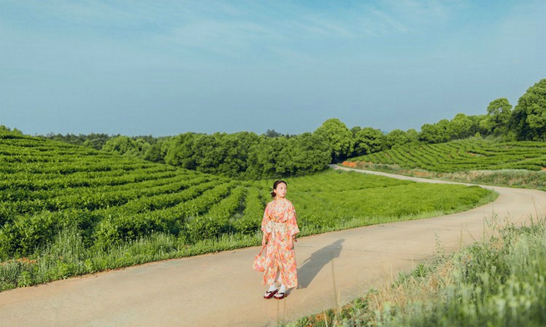 清纯娇嫩阳光茶园芬芳清纯和服美女写真