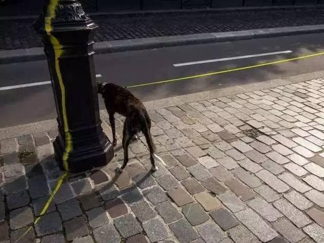 世界街头摄影精彩回顾