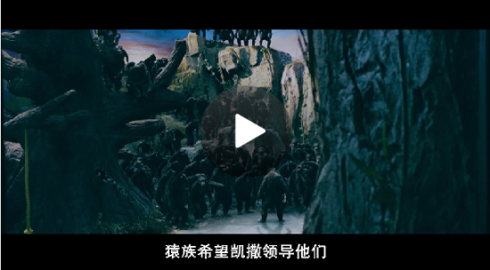 猩球崛起3电影剧照