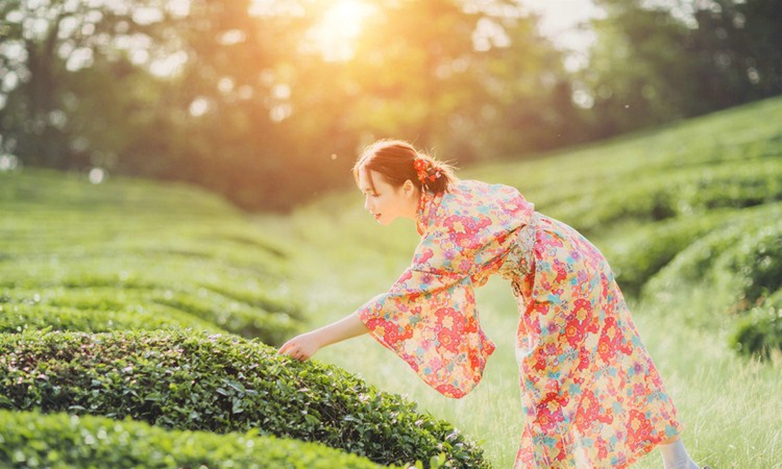 清纯娇嫩阳光茶园芬芳清纯和服美女写真