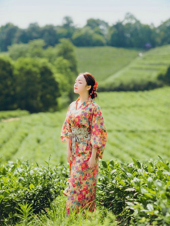 清纯娇嫩阳光茶园芬芳清纯和服美女写真