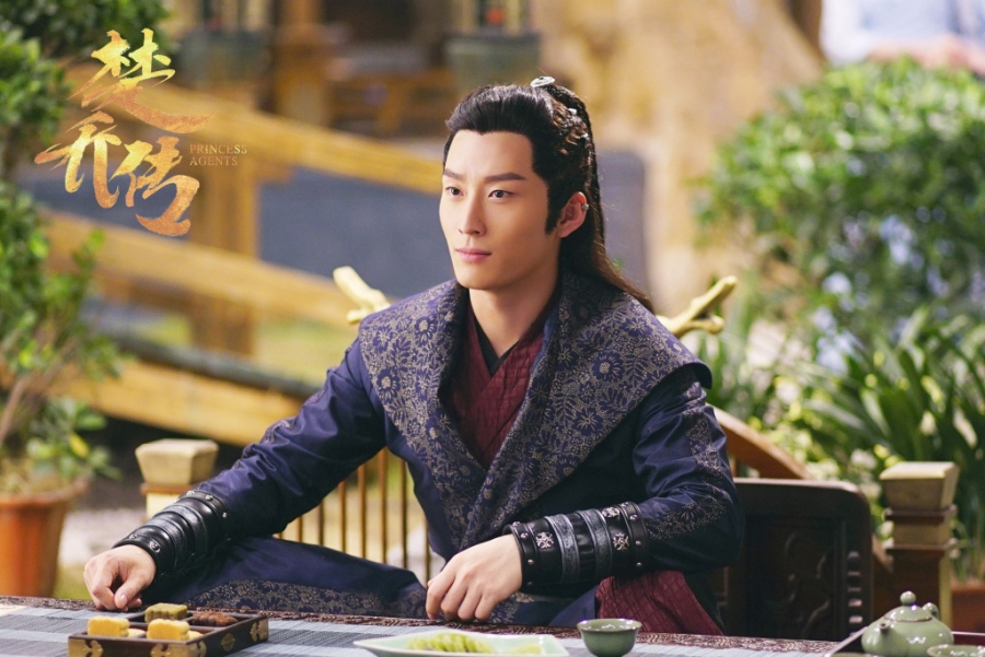 楚乔传李沁元淳公主精美高清剧照