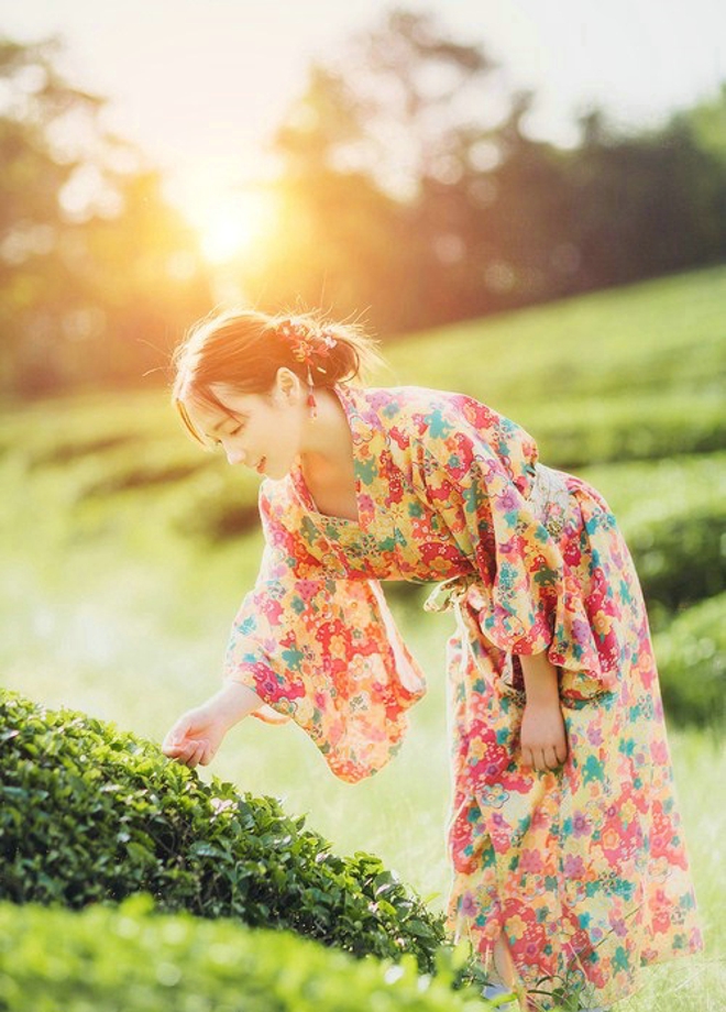 清纯娇嫩阳光茶园芬芳清纯和服美女写真