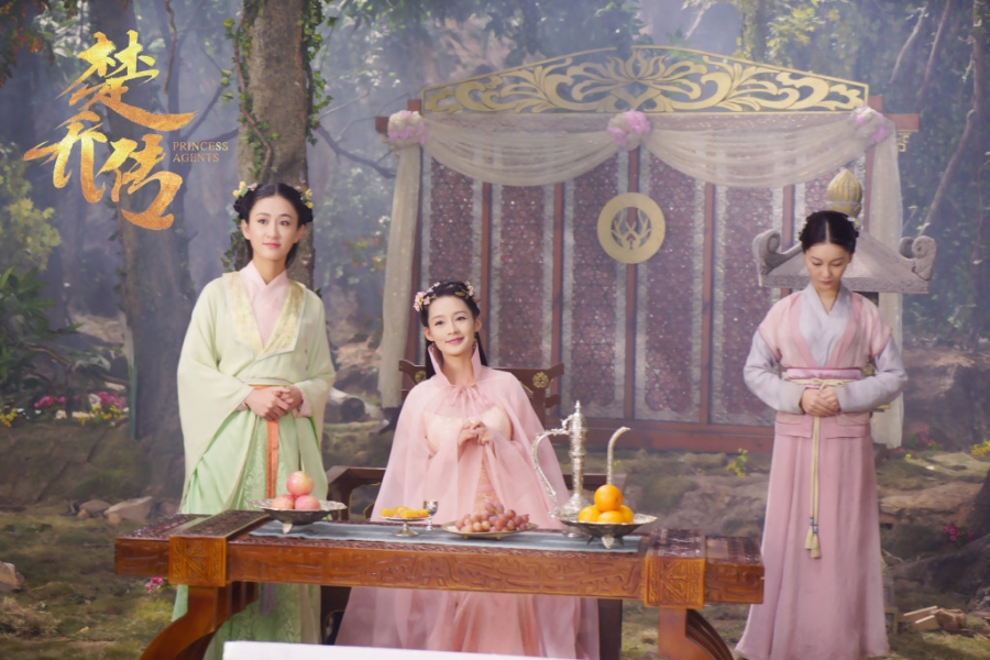 楚乔传李沁元淳公主精美高清剧照