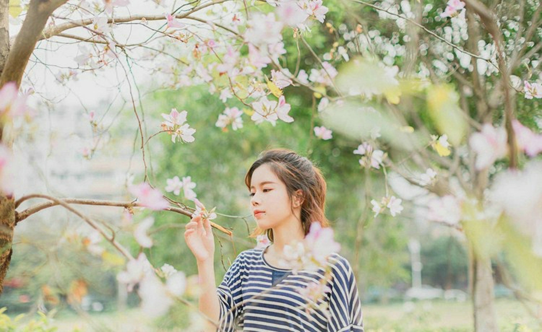 大眼睛休闲女紫荆花树下写真