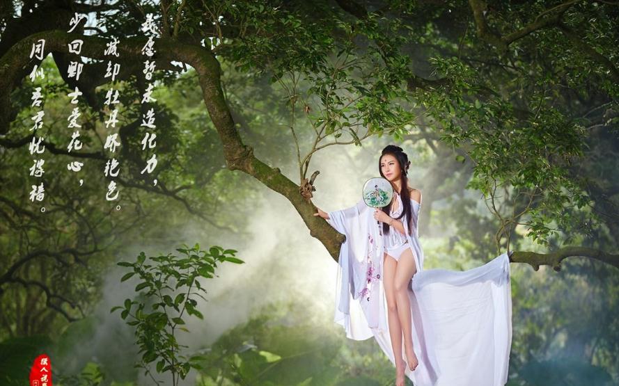 林中诗意，媚娘古装美女高清壁纸