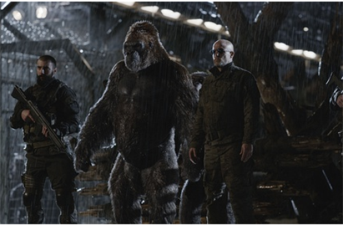 猩球崛起3电影剧照