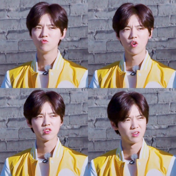 鹿晗跑男图片汇总