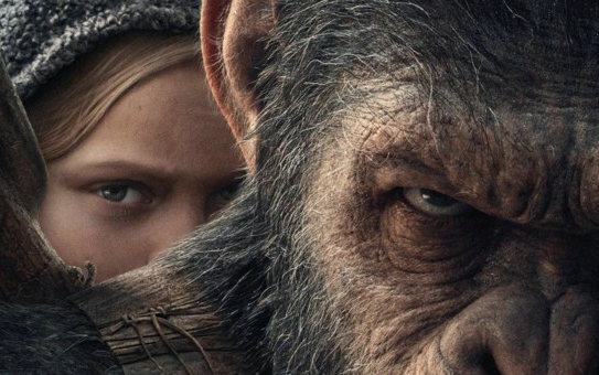 猩球崛起3电影剧照