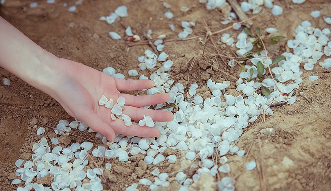 短发清纯学生妹衬衫短裙户外活力阳光俏皮唯美写真