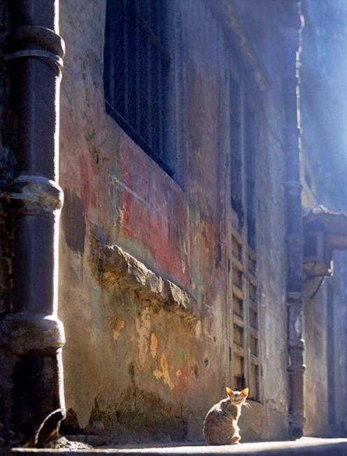 国际知名摄影家、电影演员及导演何藩先生摄影作品欣赏