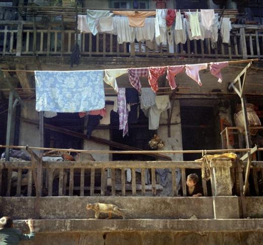 国际知名摄影家、电影演员及导演何藩先生摄影作品欣赏