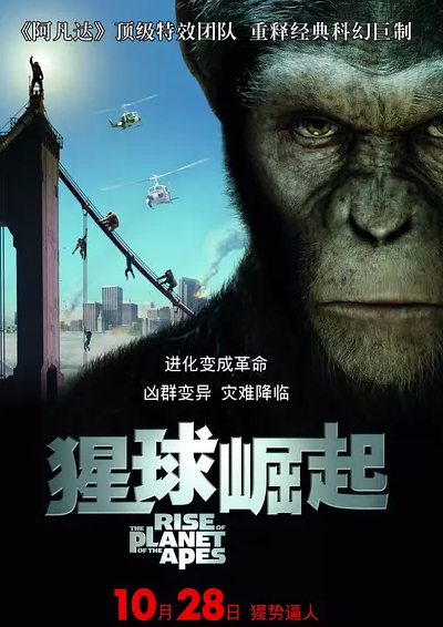 猩球崛起3电影剧照