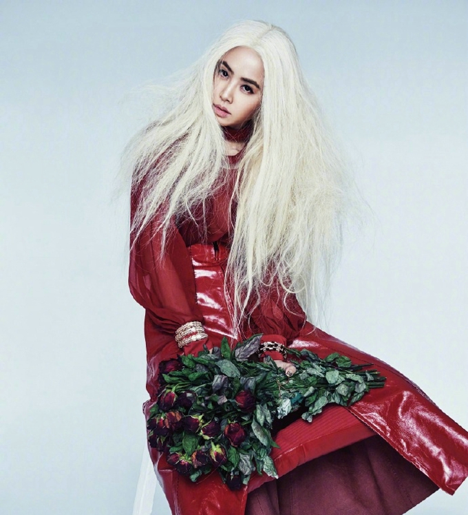 亚洲舞娘蔡依林冰与火之歌时尚非主流写真