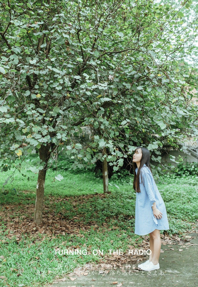 秀气端庄黑直长发氧气美女写真