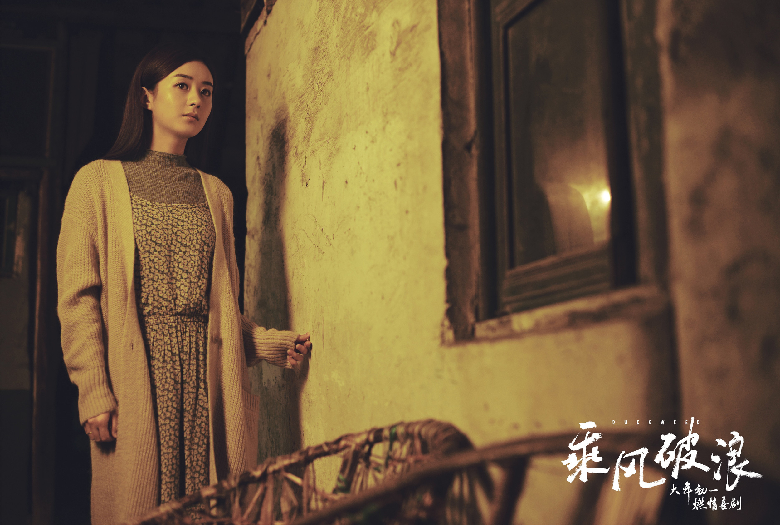 电影乘风破浪赵丽颖小花高清剧照