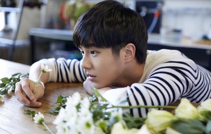 阳光男孩刘昊然壁纸