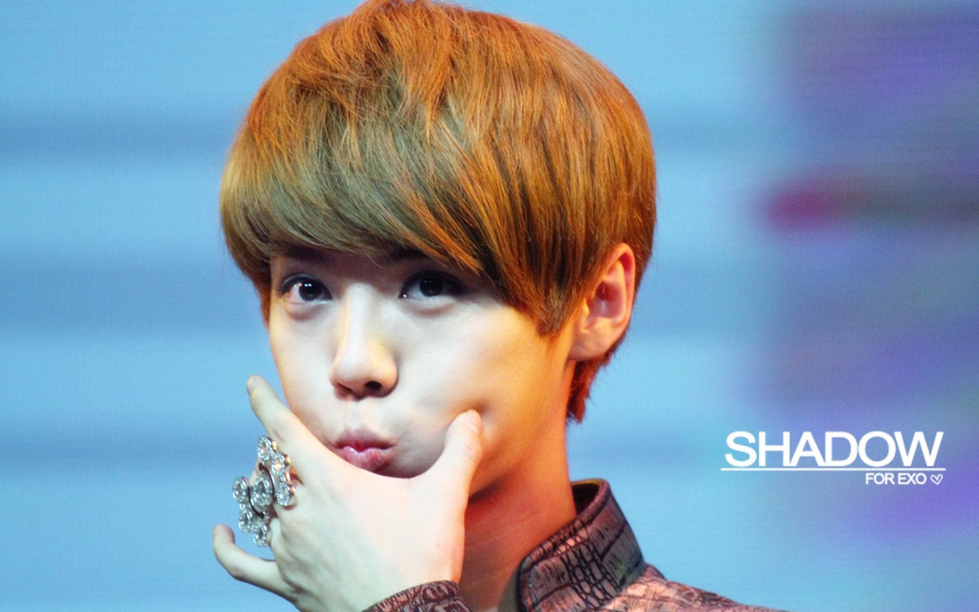 鹿晗可爱呆萌面部表情包大全壁纸