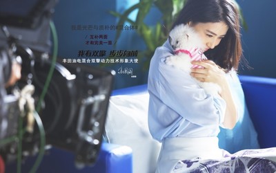 美女高圆圆迷人写真图片