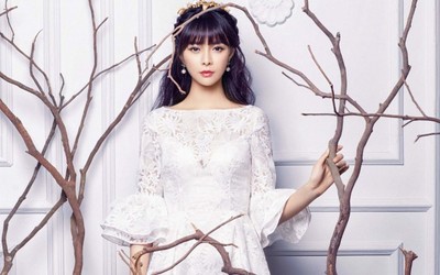 优雅大方主持人沈梦辰图片