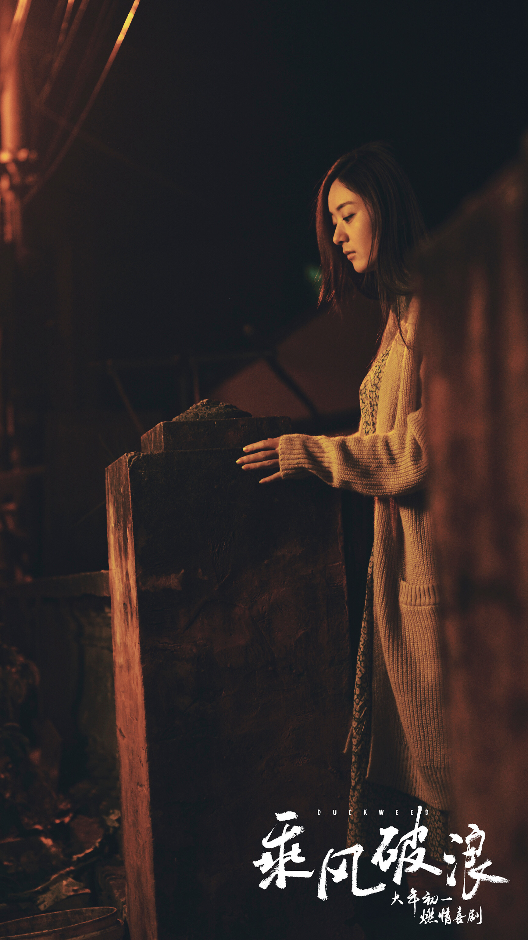 电影乘风破浪赵丽颖小花高清剧照