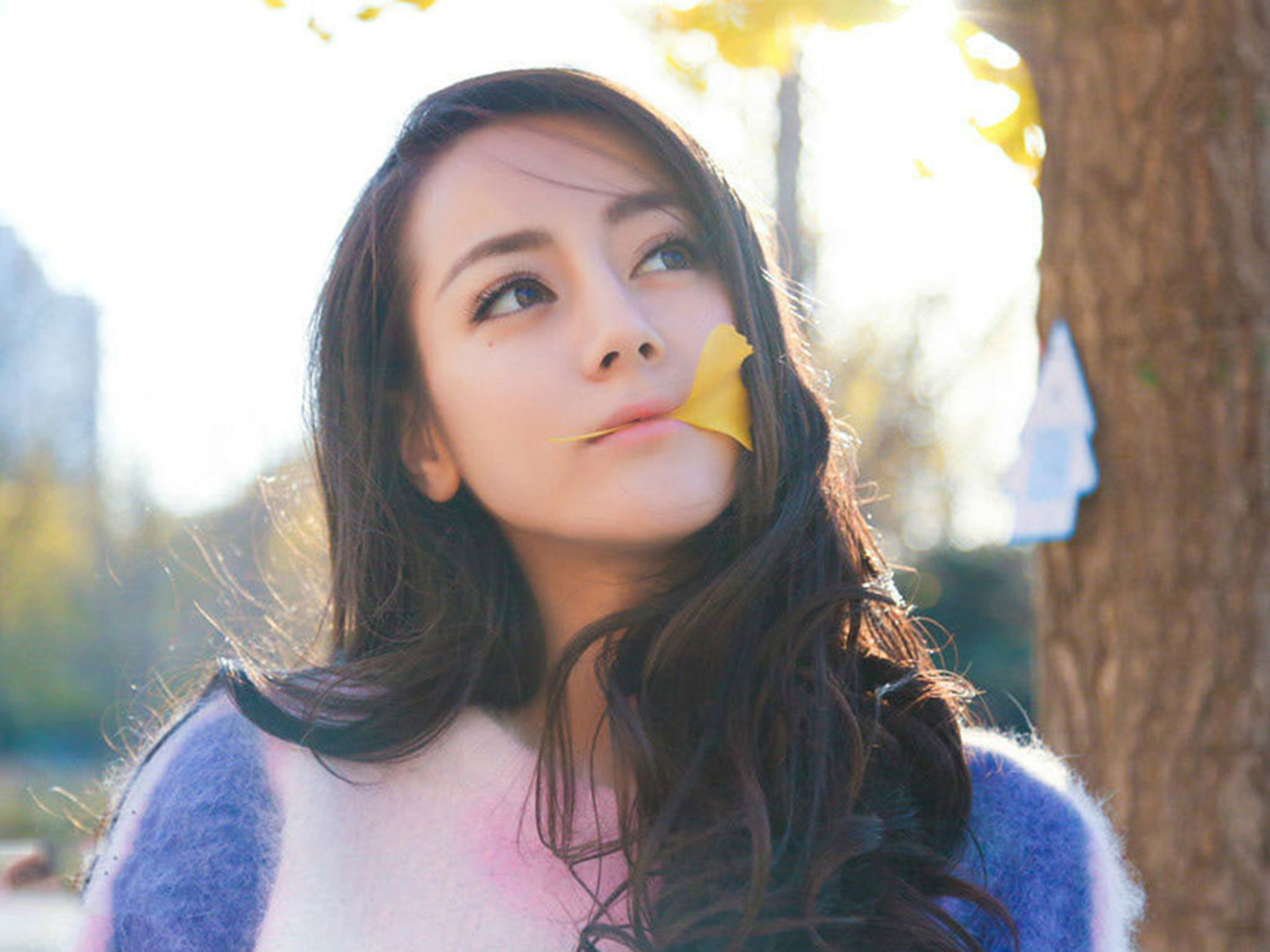 气质美女迪丽热巴写真壁纸