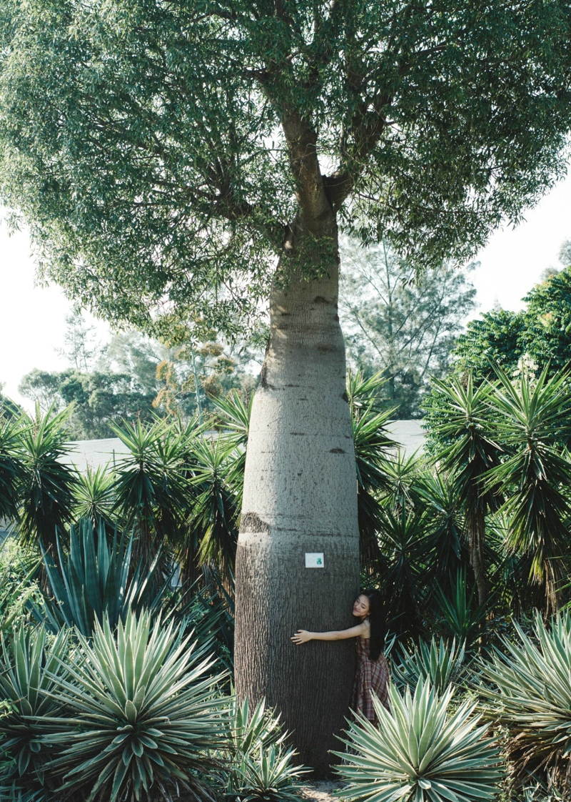 夏日清凉樱桃少女可爱卖萌写真