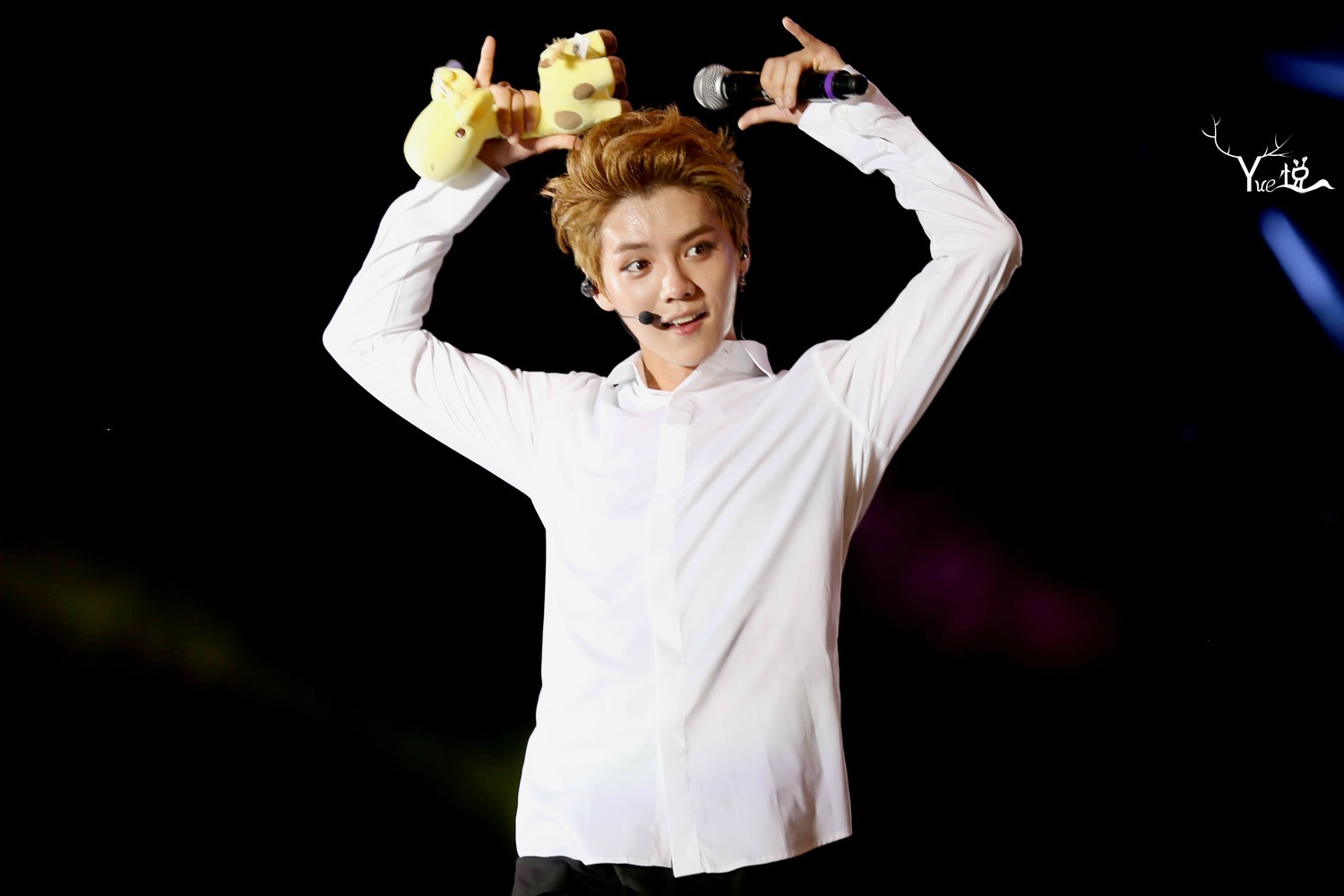 鹿晗可爱呆萌面部表情包大全壁纸