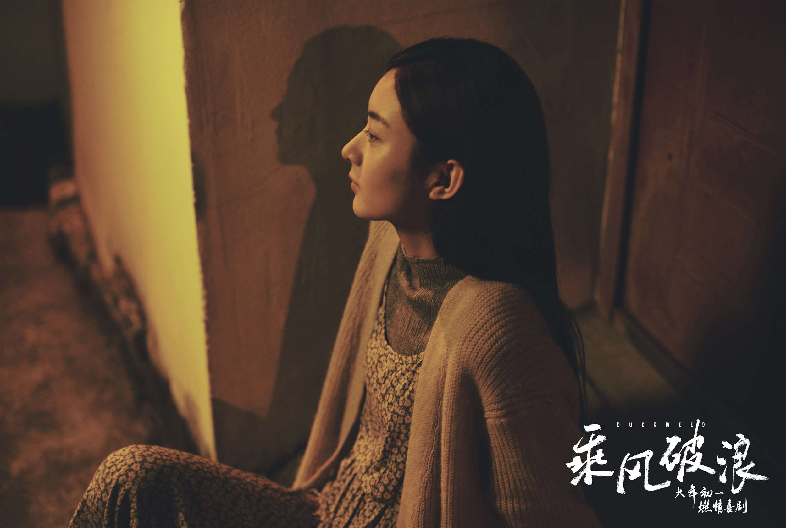 电影乘风破浪赵丽颖小花高清剧照