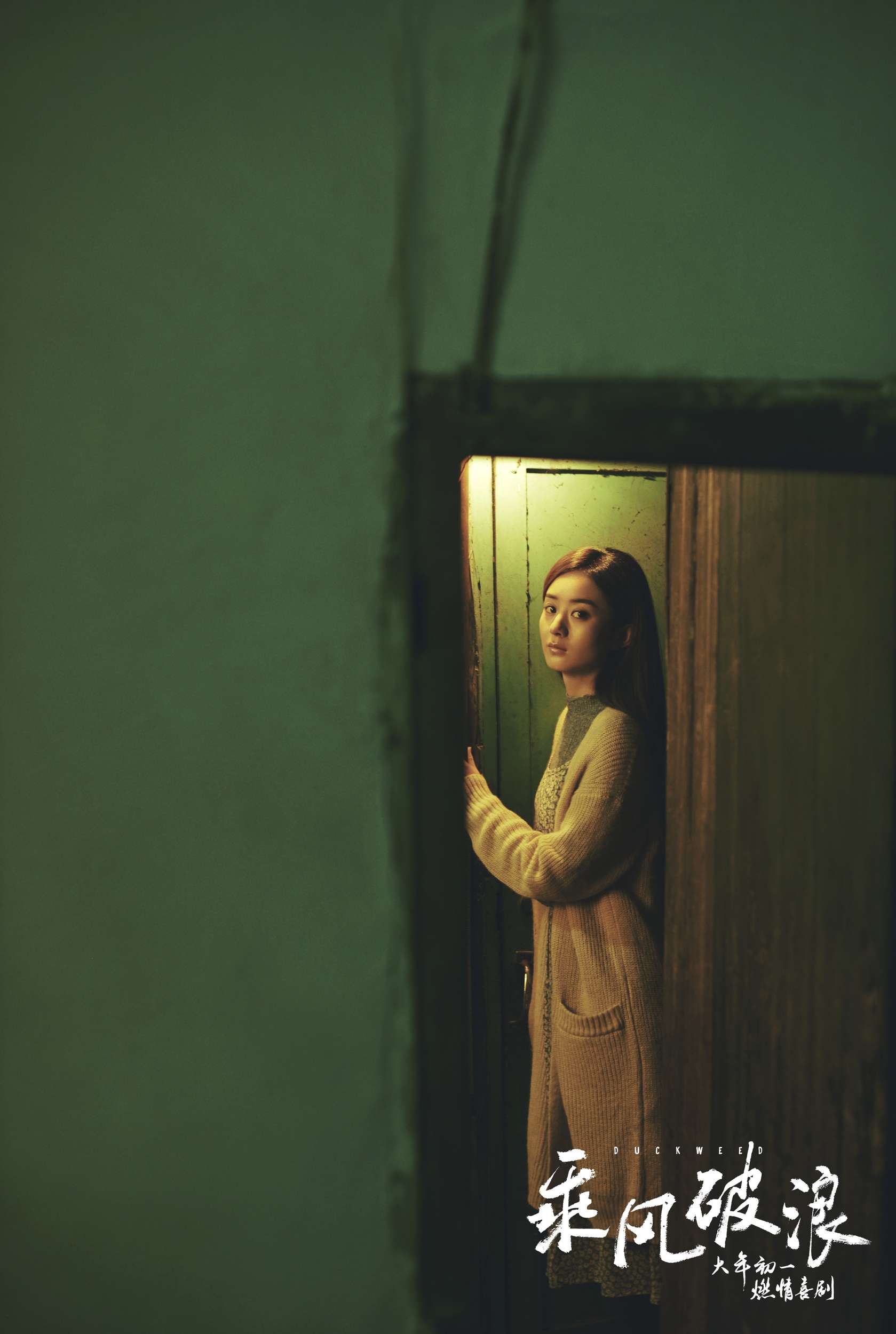 电影乘风破浪赵丽颖小花高清剧照